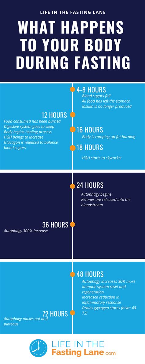 I Fasted for a Full Day and Here's What Happened (my 24 hour .